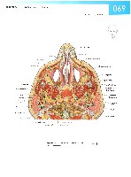 Sobotta Atlas of Human Anatomy  Head,Neck,Upper Limb Volume1 2006, page 76